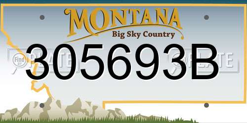 305693B Montana License Plate