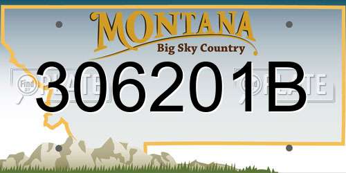 306201B Montana License Plate