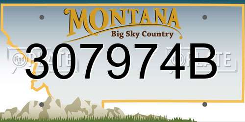 307974B Montana License Plate