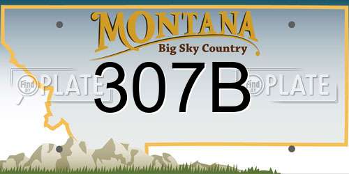307B Montana License Plate