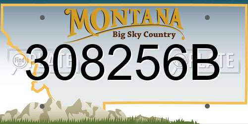308256B Montana License Plate