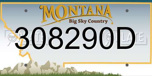 308290D Montana License Plate