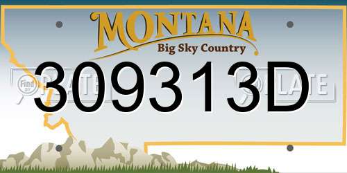 309313D Montana License Plate