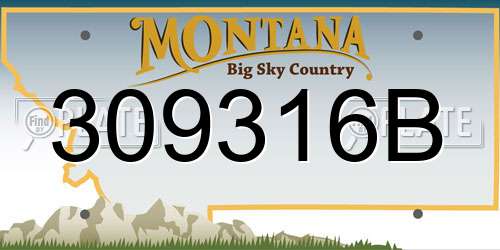 309316B Montana License Plate