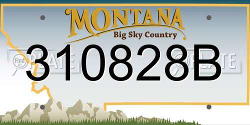 310828B Montana License Plate