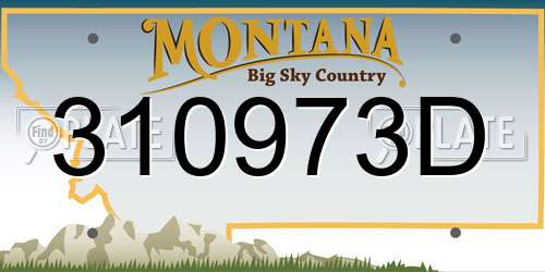 310973D Montana License Plate