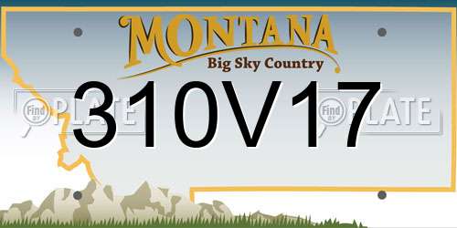 310V17 Montana License Plate