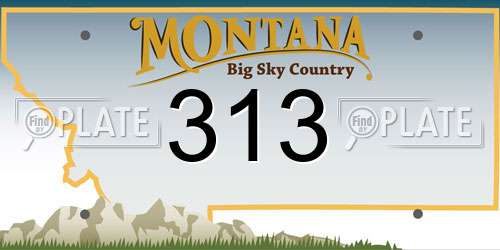 313 Montana License Plate