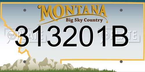 313201B Montana License Plate