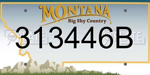 313446B Montana License Plate