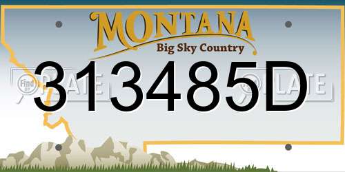 313485D Montana License Plate