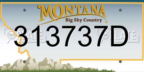313737D Montana License Plate