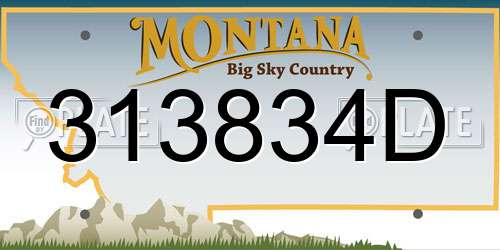313834D Montana License Plate