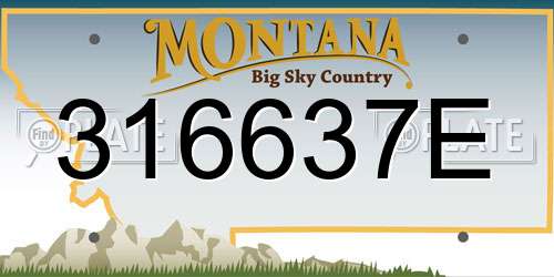316637E Montana License Plate