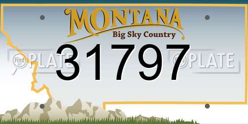 31797 Montana License Plate