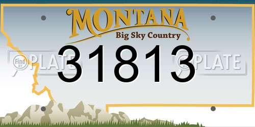 31813 Montana License Plate