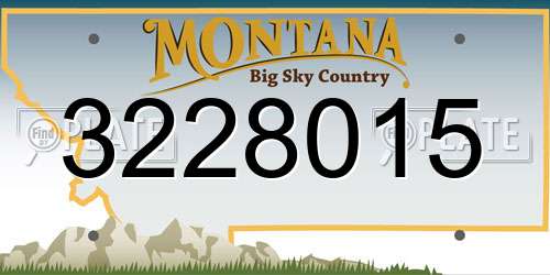 3228015 Montana License Plate