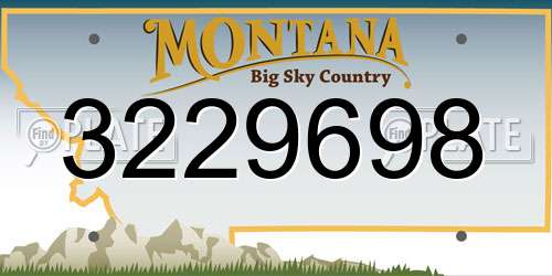 3229698 Montana License Plate