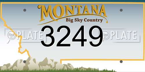 3249 Montana License Plate