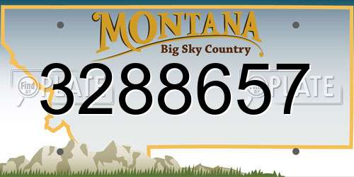 3288657 Montana License Plate