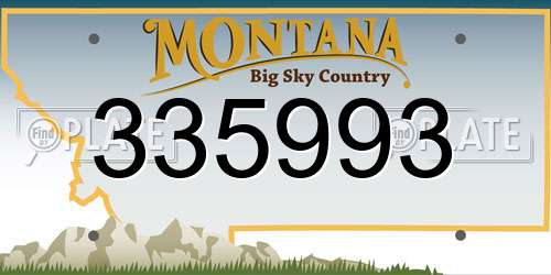 335993 Montana License Plate
