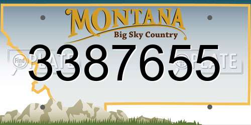 3387655 Montana License Plate