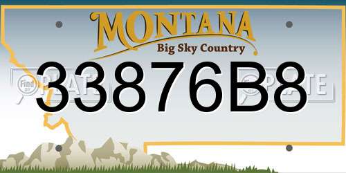33876B8 Montana License Plate