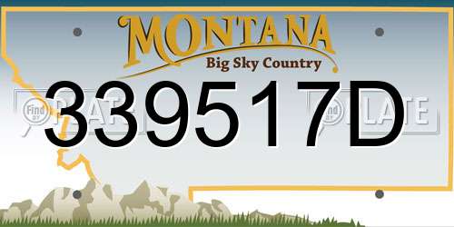 339517D Montana License Plate