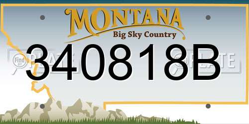 340818B Montana License Plate