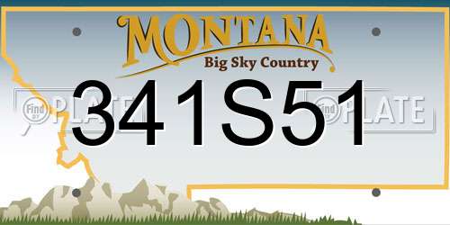 341S51 Montana License Plate