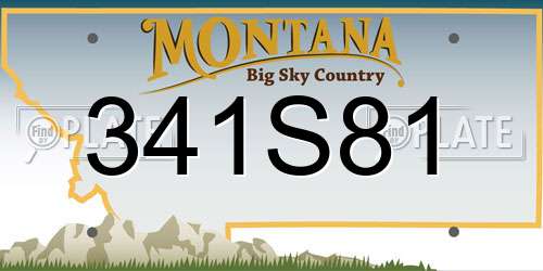 341S81 Montana License Plate