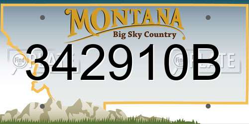 342910B Montana License Plate