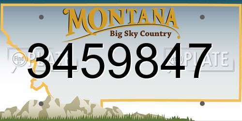 3459847 Montana License Plate