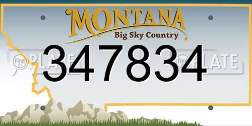 347834 Montana License Plate