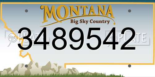3489542 Montana License Plate