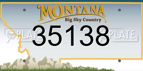 35138 Montana License Plate