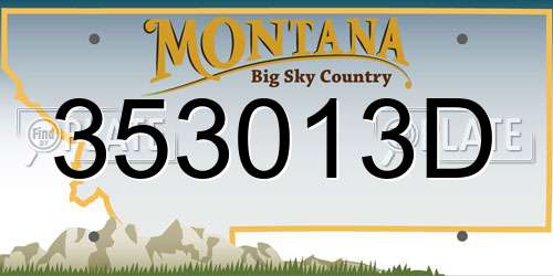 353013D Montana License Plate