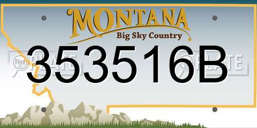 353516B Montana License Plate