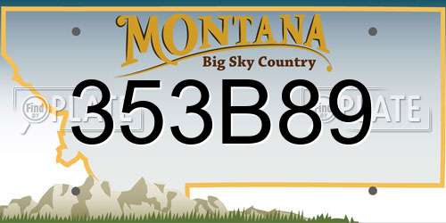 353B89 Montana License Plate