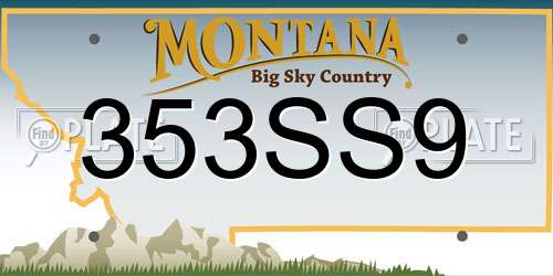 353SS9 Montana License Plate