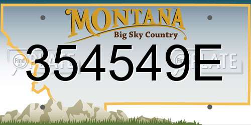 354549E Montana License Plate