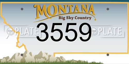 3559 Montana License Plate