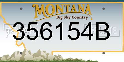 356154B Montana License Plate