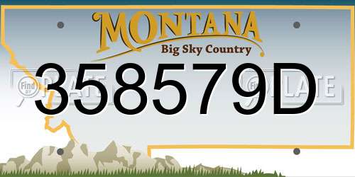 358579D Montana License Plate