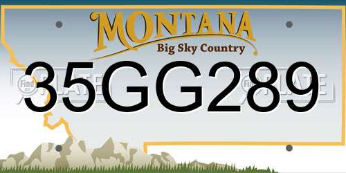 35GG289 Montana License Plate
