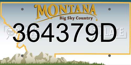 364379D Montana License Plate