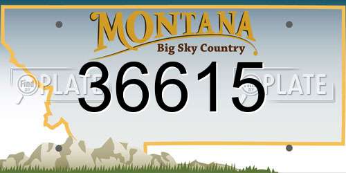 36615 Montana License Plate