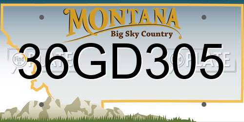 36GD305 Montana License Plate