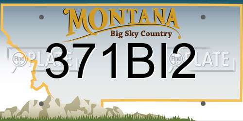 371BI2 Montana License Plate