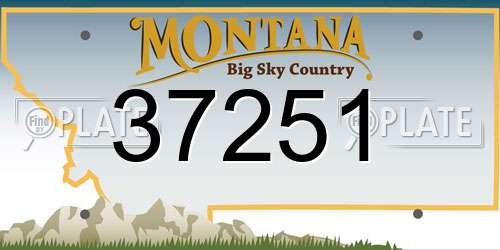 37251 Montana License Plate